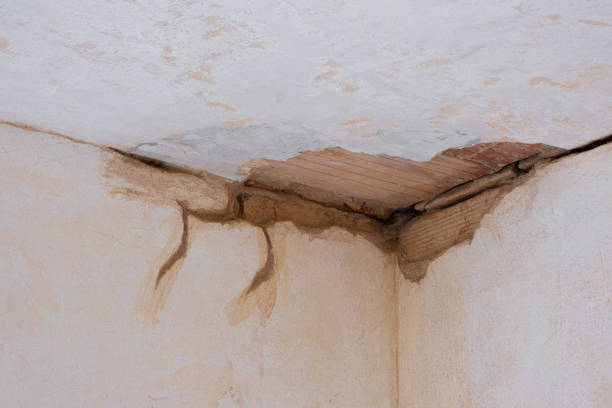 Best Ceiling water damage repair  in Homestead Meadows South, TX