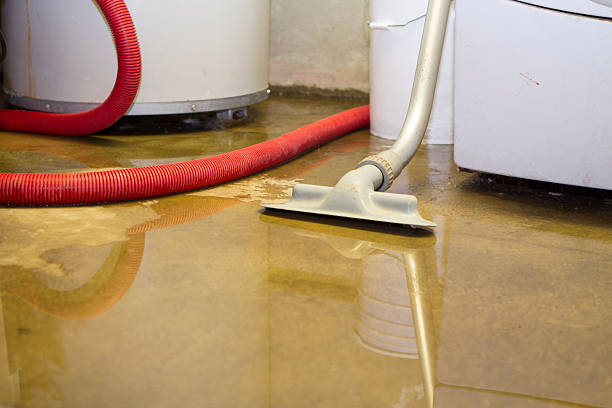 Best Carpet water damage restoration  in Homestead Meadows South, TX