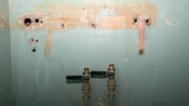 Best Residential water damage restoration  in Homestead Meadows South, TX