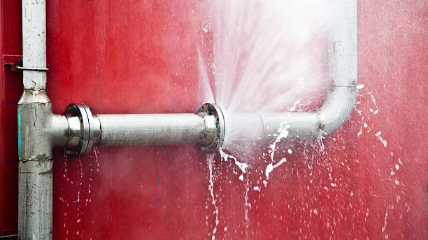 Best Basement water damage restoration  in Homestead Meadows South, TX